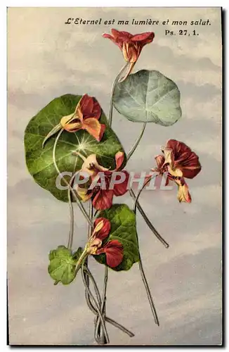 Cartes postales Fantaisie Fleurs