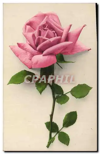 Cartes postales Fantaisie Fleurs