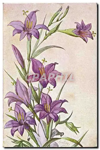 Cartes postales Fantaisie Fleurs