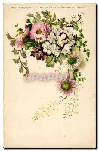 Cartes postales Fantaisie Fleurs