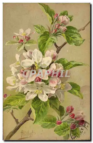 Cartes postales Fantaisie Fleurs