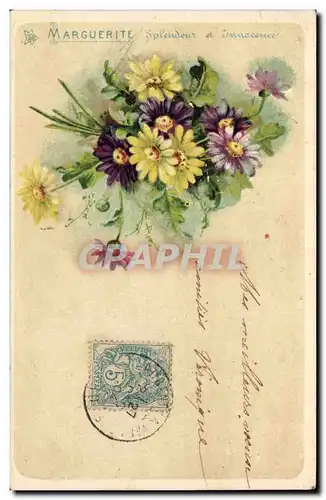 Cartes postales Fantaisie Fleurs Marguerite