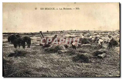 Ansichtskarte AK Folklore Paysans En Beauce La moisson Cheval