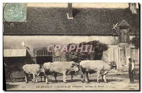 Cartes postales Folklore Paysans En Beauce Ferme de M Prevosteau Attelage de boeufs TOP