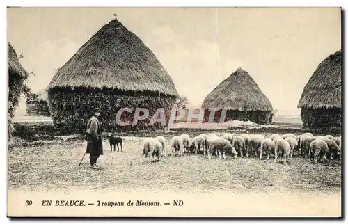 Cartes postales Folklore Paysans En Beauce Troupeau de moutons Berger