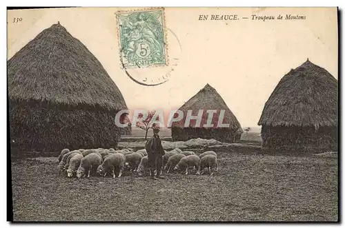 Cartes postales Folklore Paysans En Beauce Troupeau de moutons Berger