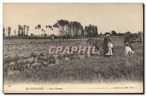 Cartes postales Folklore Paysans En Sologne Chevre Ane Mule TOP