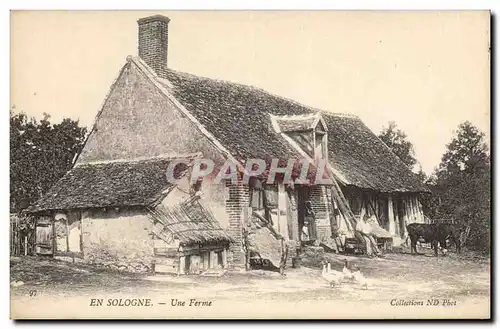 Cartes postales Folklore Paysans En Sologne Une ferme Vache TOP
