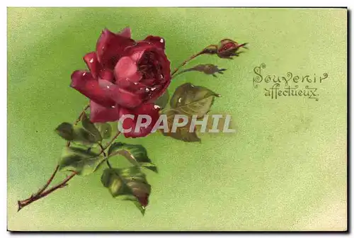 Cartes postales Fantaisie Fleurs