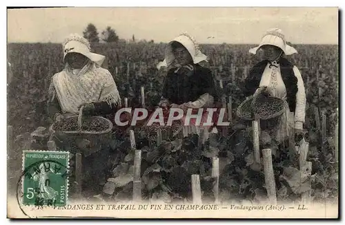 Cartes postales Folklore Vendanges et travail du vin en Champagne Vendangeuses Avize TOP
