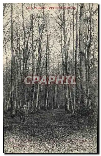 Cartes postales Arbre Vosges Gerardmer