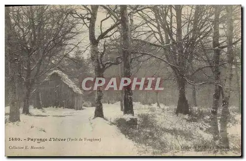 Cartes postales Arbre Paysage d&#39hiver Foret de Fougeres