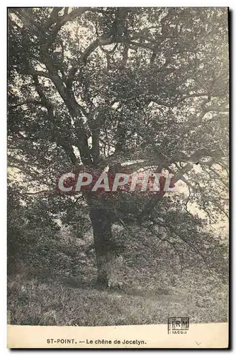 Ansichtskarte AK Arbre St Point Le chene de Jocelyn