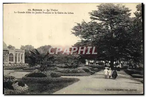 Ansichtskarte AK Arbre Rennes Au Thabor La grande allee du jardin francais et le cedre du Liban