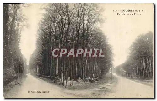 Cartes postales Arbre Fougeres Entree de la foret