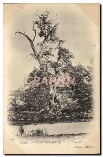 Cartes postales Arbre Foret de Fontainebleau Le Henri IV