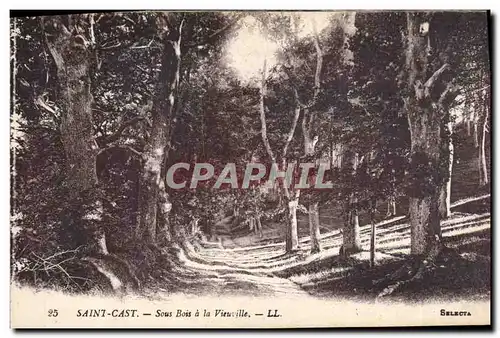Cartes postales Arbre Saint Cast Sous bois a la Vieuville
