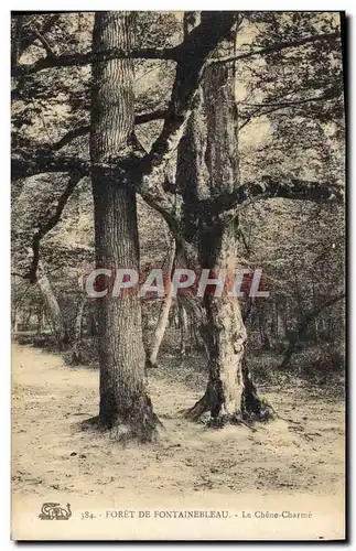 Cartes postales Arbre Foret de Fontainebleau Le chene charme