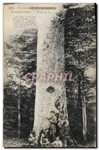 Cartes postales Arbre Environs de Saint Dizier Le grand chene (animee)