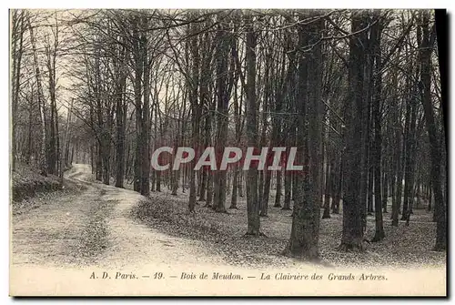 Ansichtskarte AK Arbre Bois de Meudon La clairiere des grands arbres