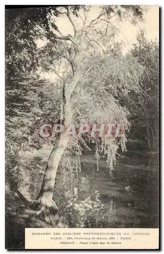 Cartes postales Arbre Specimen des ateliers photomecaniques DA Longuet Paris Faubourg Saint Martin