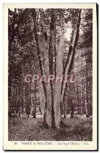 Cartes postales Arbre Foret de Belleme Les sept chenes