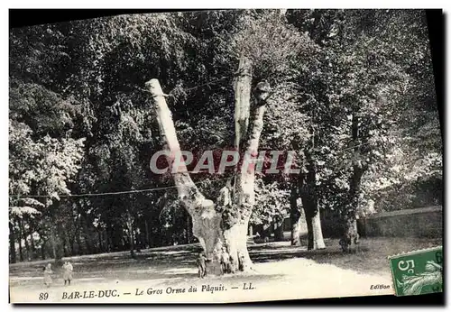 Ansichtskarte AK Arbre Bar le Duc Le gros Orme du Paquis