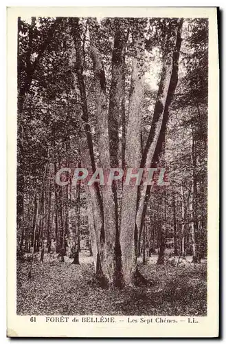 Cartes postales Arbre Foret de Belleme Le sept chenes