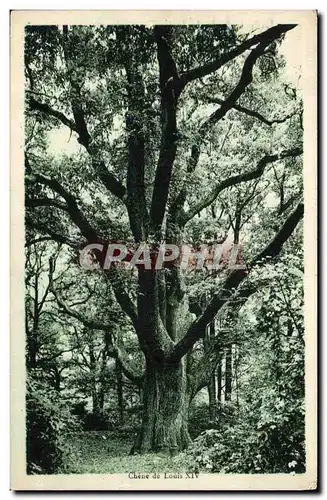 Cartes postales Arbre Chene de Louis XIV