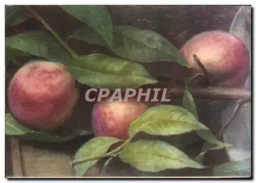 Cartes postales Fantaisie Nature Morte Peches