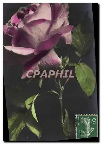 Cartes postales Fantaisie Fleurs