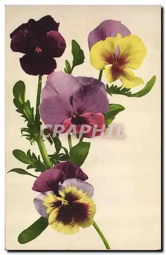 Cartes postales Fantaisie Fleurs