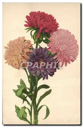 Cartes postales Fantaisie Fleurs