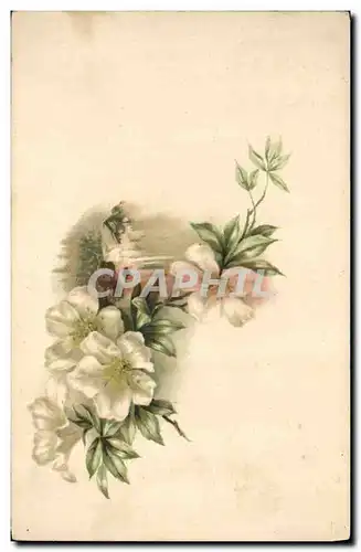 Cartes postales Fantaisie Fleurs