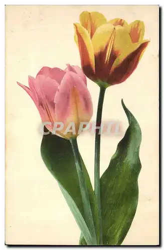 Cartes postales Fantaisie Fleurs