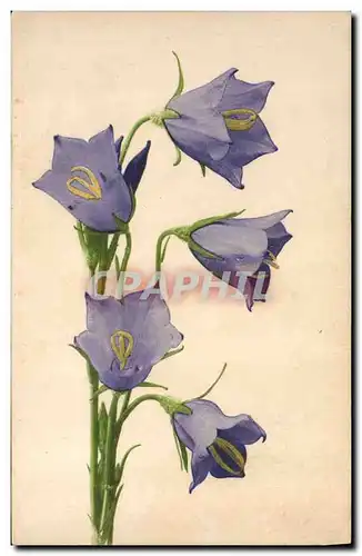 Cartes postales Fantaisie Fleurs