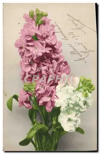 Cartes postales Fantaisie Fleurs