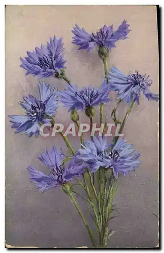 Cartes postales Fantaisie Fleurs