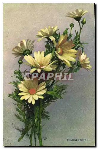 Ansichtskarte AK Fantaisie Fleurs Marguerites