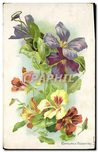 Cartes postales Fantaisie Fleurs Capucines & Clematites