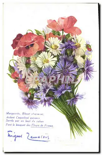 Cartes postales Fantaisie Fleurs Margeurite Bleuet