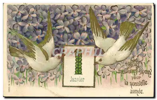 Cartes postales Fantaisie Fleurs Oiseaux