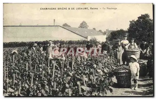 Cartes postales Folklore Vigne Vendanges Champagne Briere & De Labaume Reims