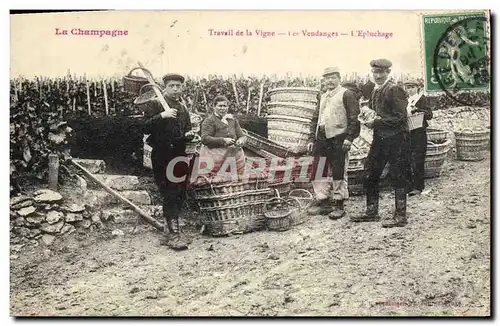 Cartes postales Folklore Vigne Vendanges Champagne Le travail de la vigne L&#39epluchage TOP