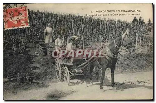 Ansichtskarte AK Folklore Vigne Vendanges Champagne Transport du raisin a la cuve apres etre pressure TOP