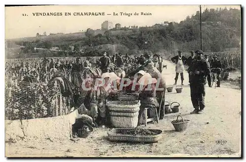 Cartes postales Folklore Vigne Vendanges Champagne Le triage du raisin TOP