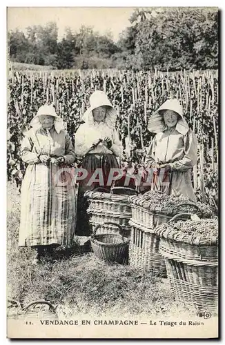 Cartes postales Folklore Vigne Vendanges Champagne Le triage du raisin TOP