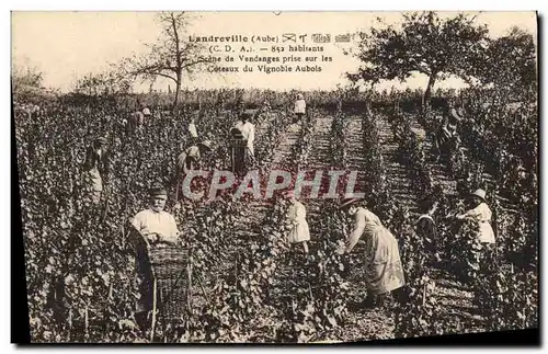 Ansichtskarte AK Folklore Vigne Vendanges Landreville Scene de vendanges prise sur les coteaux du vignoble Aubois