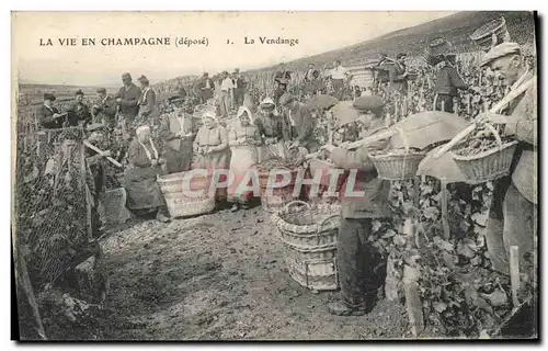 Cartes postales Folklore Vigne Vendanges Champagne TOP