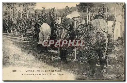 Cartes postales Folklore Vigne Vendanges Champagne Les robes culottes dans les hautes Vignes Yonne TOP